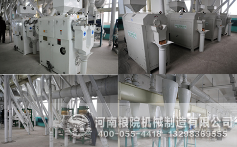 �����O��