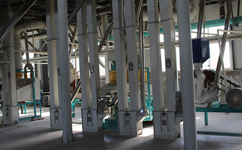 ������ӹ��O��