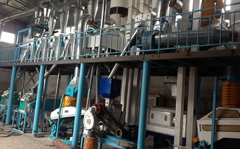 ������ӹ��O��