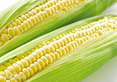 ��������ӹ��Cе