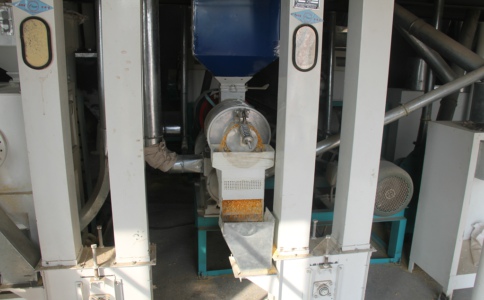 ���׼ӹ��O��