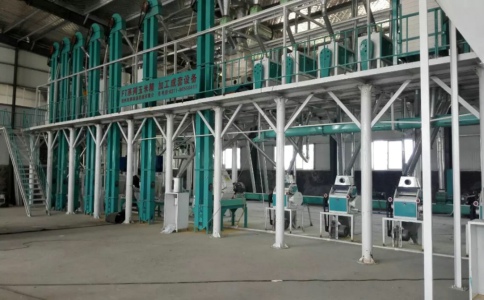 ���׼ӹ��O��