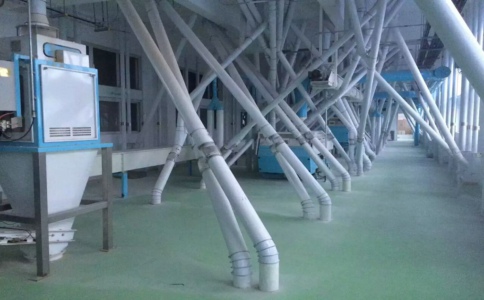 ������ӹ��O��