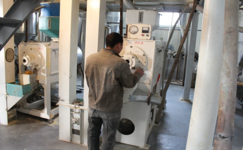 ���׼ӹ��O��