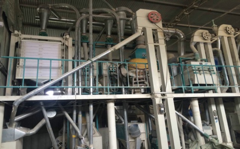 ���׼ӹ��O��